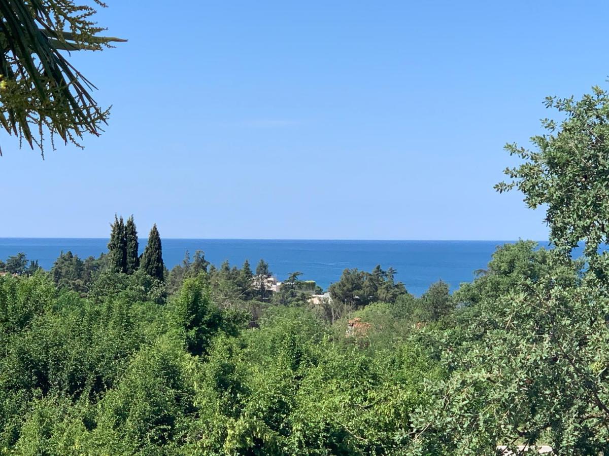 Diamond Seaview Porec